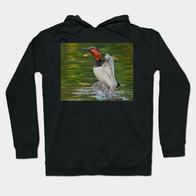 Canvasback Stretch Hoodie by jforno